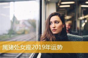 属猪处女座2024年运势