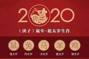 属虎的2024运势属马2024年运势及运程