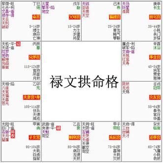 紫微斗数富贵格局禄文拱命格