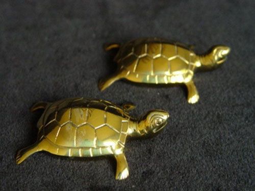 为什么做梦梦见了金乌龟呢,是怎么回事呢   乌龟都是没有金色的,可是