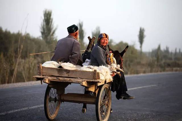 抹不去的记忆——新疆的毛驴车
