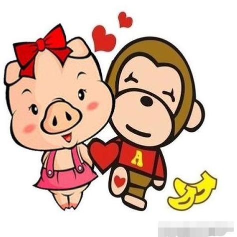 属猴男和属猪女的适合做夫妻吗