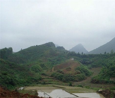 周小道说风水,怎么看祖坟风水?怎样的祖坟才算是好风水_坟地