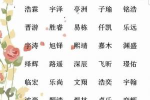 男宝小名食物名字大全_属猴男宝小名大全_男孩名字小名大全2024