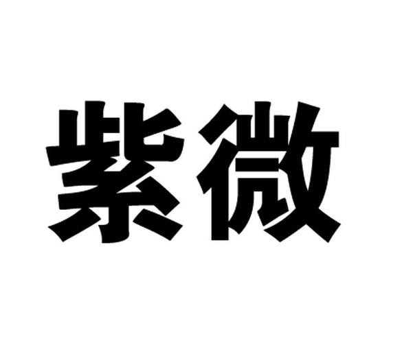 仪器北京紫微宇通科技有限公司紫紫微等待驳回复审09-科学仪器北京