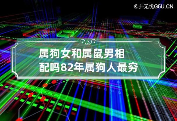 属狗女和属鼠男相配吗 82年属狗人最穷不过41岁