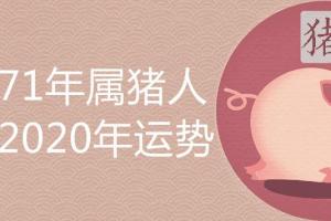 71年属猪的2024年运势怎么样 - 属猪 - 增庆堂吉祥文化