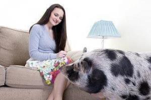原创广西女护士被批准逮捕猪饲料的进化论