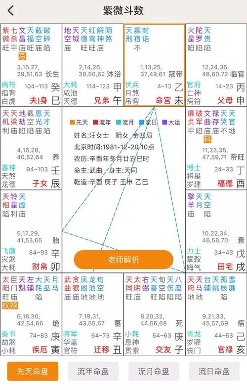 从地支教你快速学会紫微斗数命盘详情