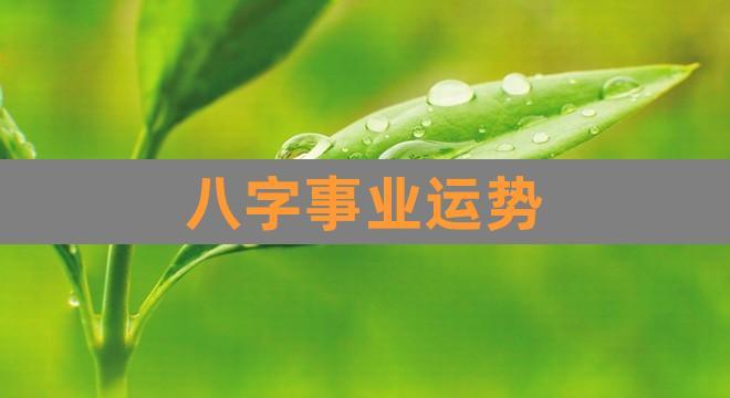 八字事业运势(免费算命财运事业)