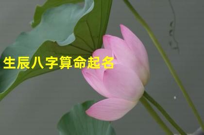 生辰八字算命起名