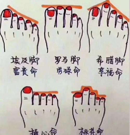 如下图所示这五种脚型分别代表了一个人不同的先天命格特征,而对于