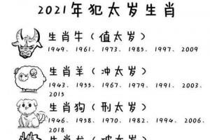 2024年哪些属相犯太岁_2024年十二犯太岁属相_2024年什么属相犯太岁