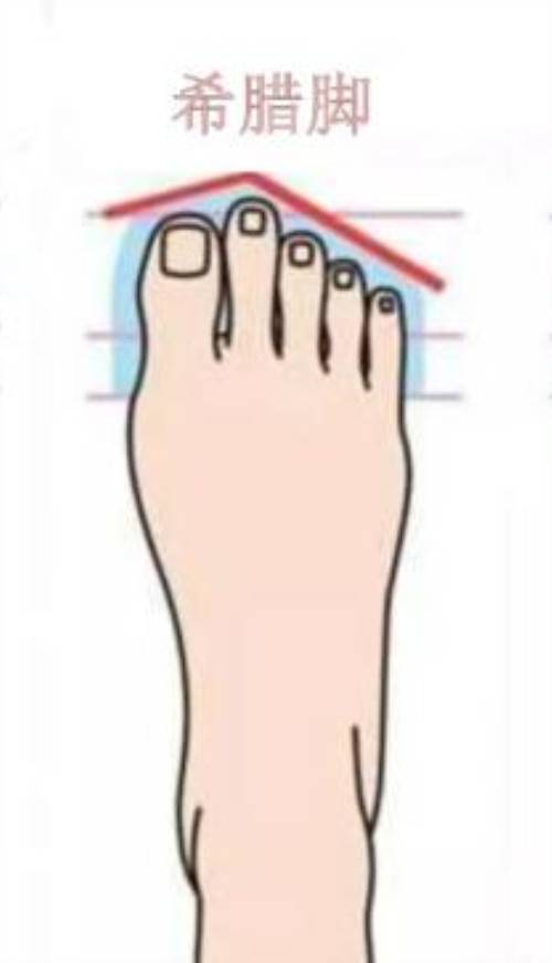 一,大脚趾的长度最长在脚相学中,如果一个人的大脚趾头是最长,长度都
