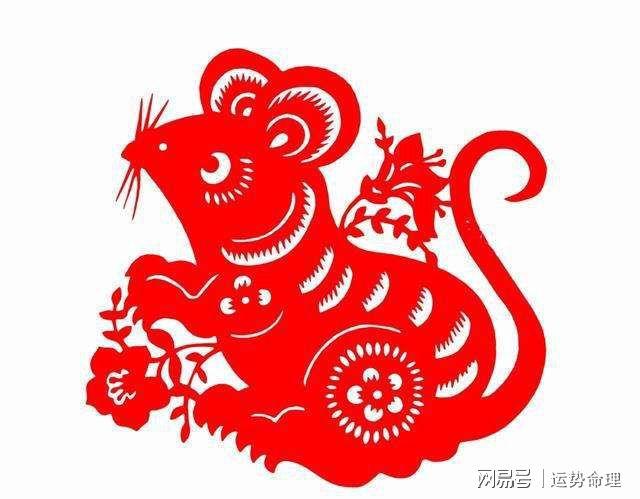 属鼠的人今年运势如何今年是什么年属鼠人今年运势怎么样