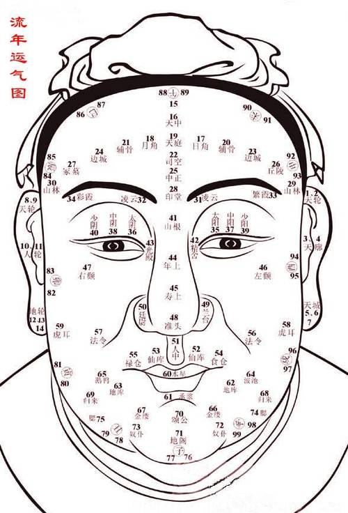 面相流年图,面相百岁流年图解