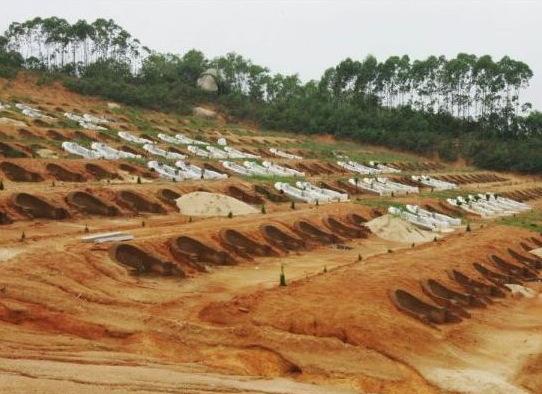 广东惠来毁林建800座高价墓 被曝光1个月未处理