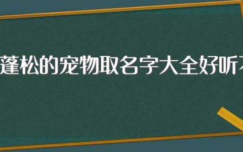 毛发蓬松的宠物取名字大全好听不俗气(毛发蓬松的宠物取名字大全好听