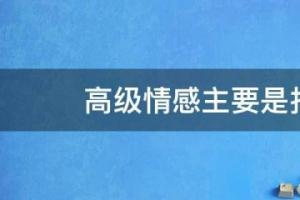 人的高级情感可分为 路面分为高级路面