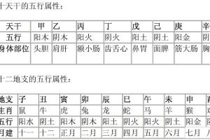 天干地支相配为60干支天干地支五行对照表