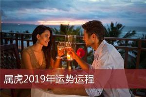 属虎2024年运势运程