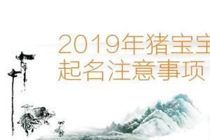 汉字能量姓名学:2024年猪宝宝起名注意事项(禁忌)!