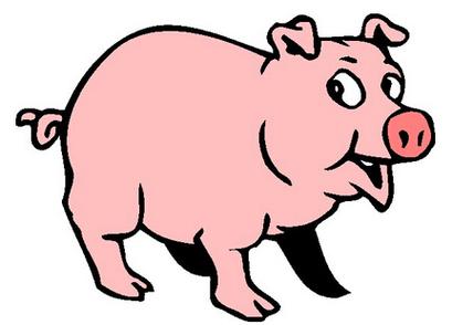 属猪的人2023年每月运程 - 美国神婆星座网