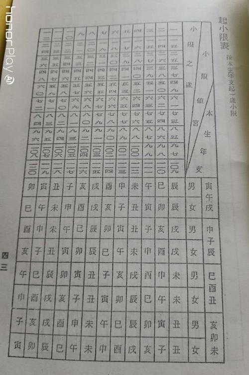 紫微斗数安星法紫微斗数软件是怎么排盘软件易经推命程式