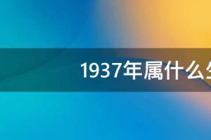 1937年属什么生肖