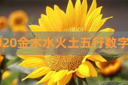 2023金木水火土五行数字表,金木水火土起名,五行八卦图金木水火土