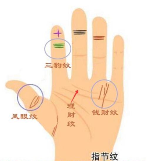 玄灵阁:手相看女人财运大小图解汇集