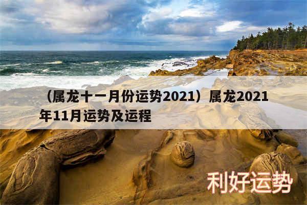 属龙的健康运势,2023属龙人的运势和财运