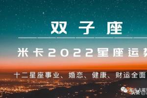 米卡|2024年十二星座综合运势详解——双子座