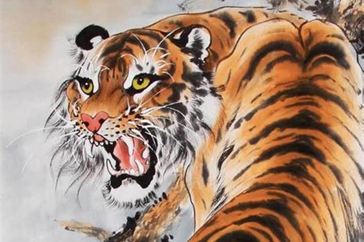 1986年属虎在2023年属虎的本命年运势