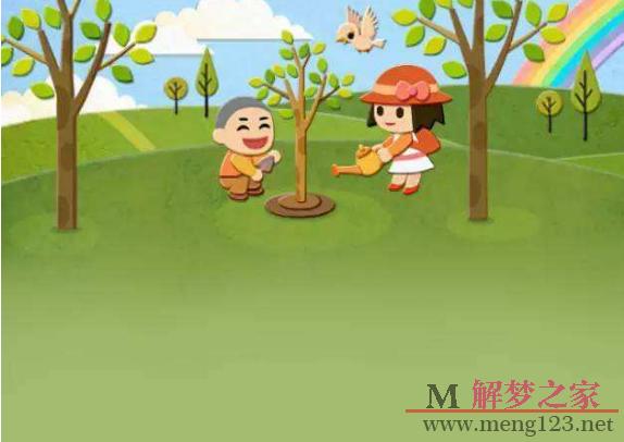 推荐阅读:梦见种枣树是什么意思梦见与家人一起栽树,代表家庭生活幸福
