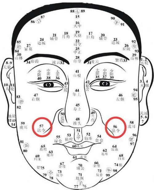 逸轩风水:面相有关寿命的法令纹,苦泪纹?