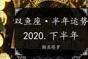 猫巫塔罗:双鱼座2024-下半年运势占卜