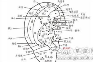 耳朵长痣面相图 - 星座网