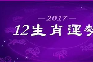 2024鸡年【12生肖运势大公开】前四名是:龙,牛,猴,蛇