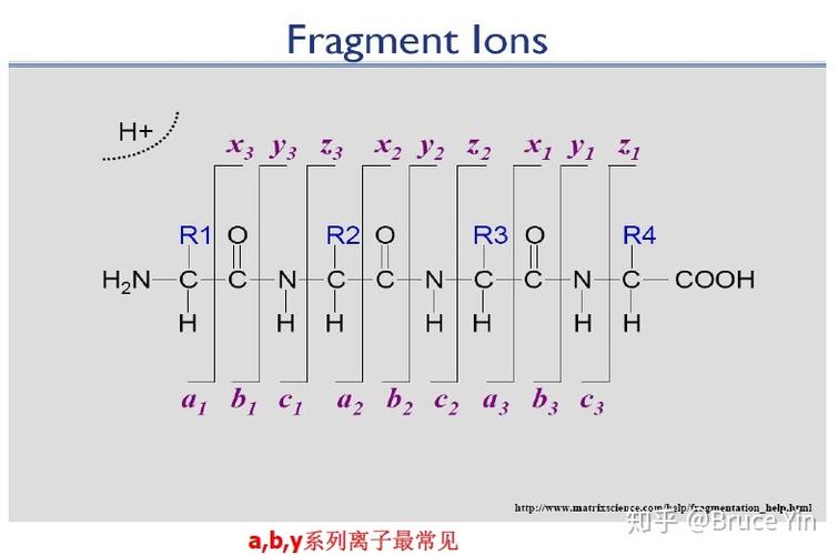 出具有质荷比信息的实际谱图,再和数据库产生的理论谱图进行匹配打分