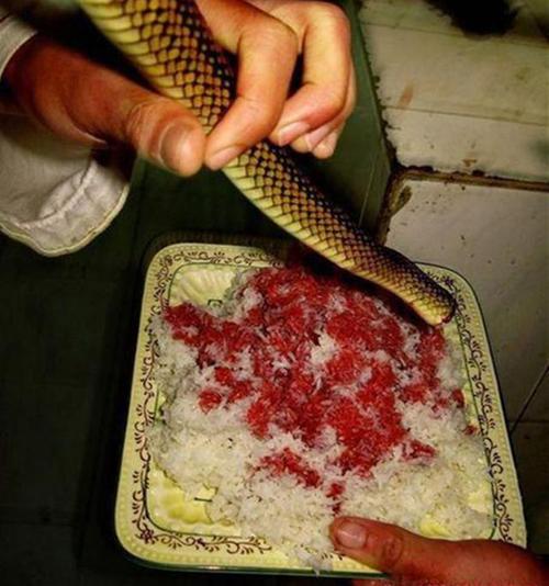 【火锅】两广人最爱吃的蛇肉火锅营养滋补但不能多吃