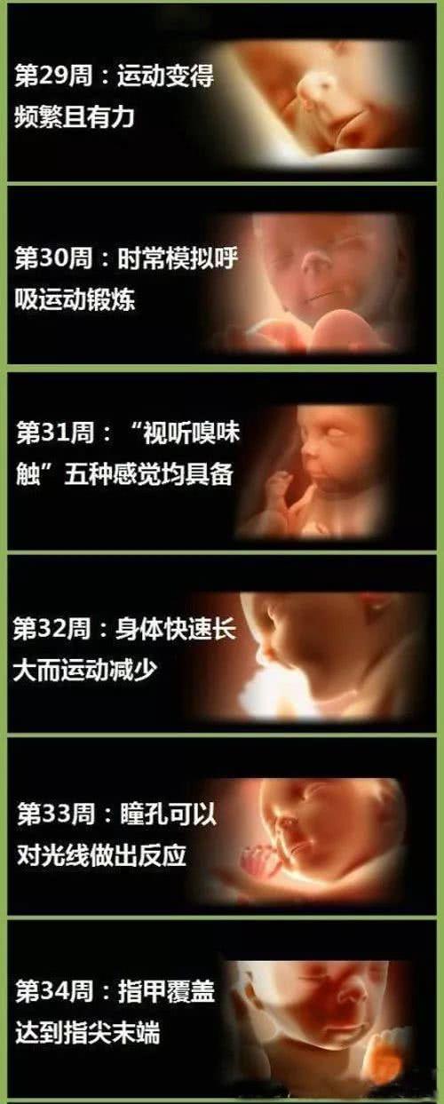 记录怀孕40周胎儿成长过程,从胚胎到宝宝,这些变化真是太神奇了