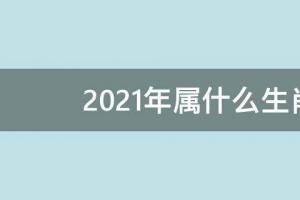 2024年属什么生肖啥命