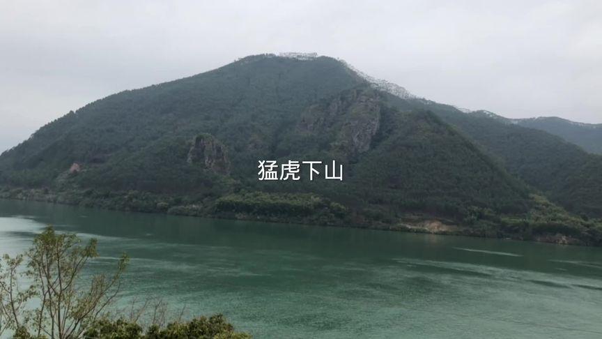 猛虎下山