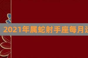 2024年属蛇射手座每月运势(射手星座运势2024年运程)