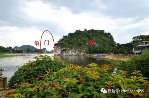 如上图所示,桂林漓江上的象鼻山和龟山,形成一个龟象捍门的风