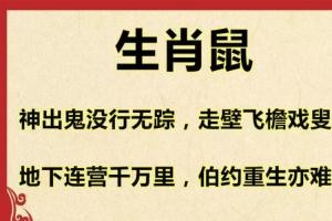 十二生肖写成十二首诗,妙趣横生,看看你属于哪一首?