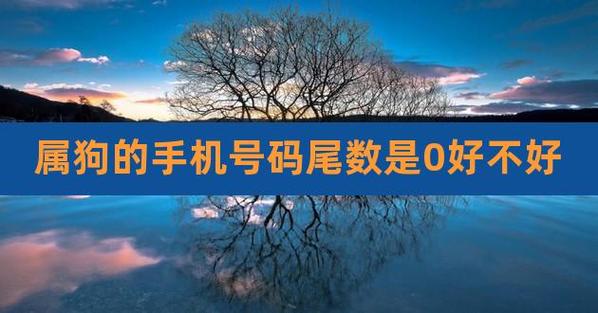 属狗的手机号码尾数是0好不好,82年属狗的吉祥数字