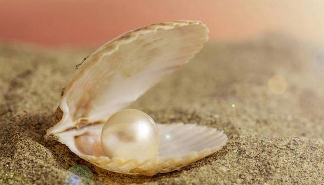 梦到从蚌里取出珍珠是什么意思