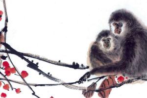 1968年出生的属猴的人五行属土,俗称为土猴, 土猴之人性情达观,坦率